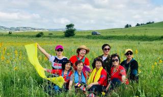 陪你一起看草原原唱 陪你一起看草原原唱