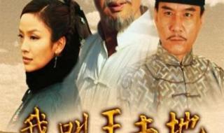 我是王土地全集 我是王土地全集