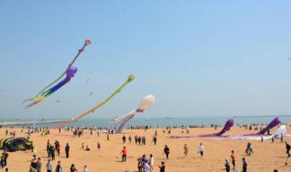 潍坊国际风筝节