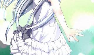 我们仍未知道花名