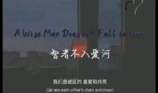 智者不入爱河下一句