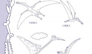 北京天安简笔画着色 北京天安简笔画着色