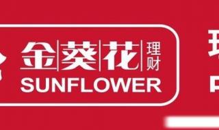 招商银行金葵花理财
