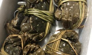 蟹状元大闸蟹礼品卡