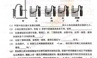 八年级物理期末试卷