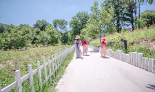 西安动漫产业园 西安动漫产业园