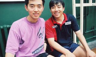 世界杯乒乓球赛2021