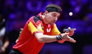 马龙水谷隼 马龙水谷隼