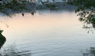 金星伴月象征着什么