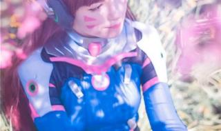 战斗贼属性 战斗贼属性