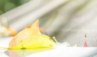 小孩子头像 小孩子头像