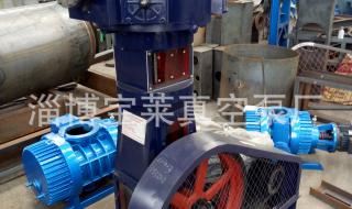 往复真空泵 往复真空泵