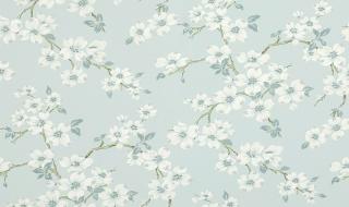 lauraashley lauraashley