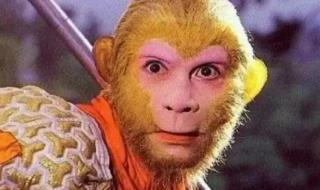 闪烁之光孙悟空皮肤 闪烁之光孙悟空皮肤