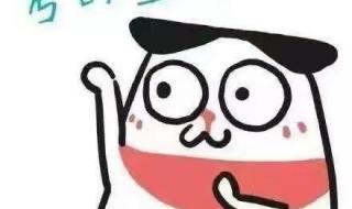 小学期末考试成绩