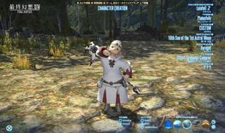 最终幻想14捏脸数据 最终幻想14捏脸数据