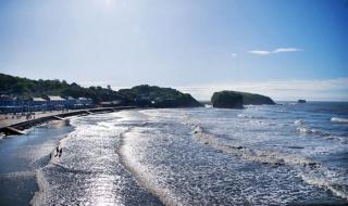 地球最北岛屿被发现