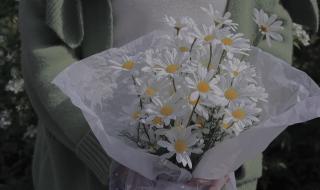 为什么中国禁止用ins 为什么中国禁止用ins