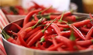 世界上最辣的辣椒 世界上最辣的辣椒