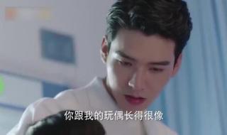 从结婚开始恋爱鹿呦呦 从结婚开始恋爱鹿呦呦