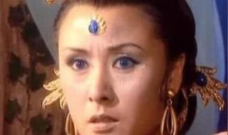 西游记陈浩民版国语