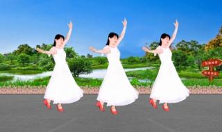 中老年广场舞大全