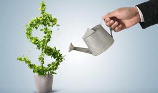 100万如何投资理财 100万如何投资理财